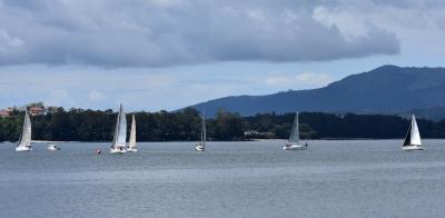 El Peperete-Nortemar primer lider de la XX Regata Punta Fincheira Trofeo Ganaderia Villanustre.