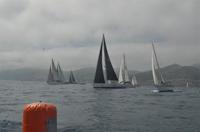 La flota de la XXIV Edición de la Regata Bahía de Pollença navega rumbo a Mallorca