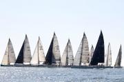 La Regata L’Almadrava de la Marina rememora la pesca del atún La Regata L’Almadrava de la Marina rememora la pesca del atún