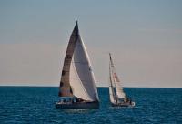  Trofeo Iniciacion, del RCRA, celebrado el pasado fin de semana en aguas de Alicante.
