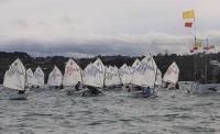 El Meeting Gadis de Optimist, se reunirá lo más granado de la vela base del noroeste español, con 150 barcos. 