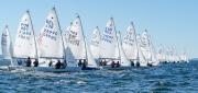 El ‘Trofeo Armada’ de Snipe reúne a 80 barcos en Santiago de la Ribera