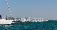 Más viento y tensión en la bahía de Cádiz en el segundo asalto al 7º Trofeo de la Hispanidad de Optimist
