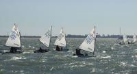 Paso adelante del CN Puerto Sherry en el andaluz por equipos de Optimist 