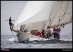 Gaastra PalmaVela