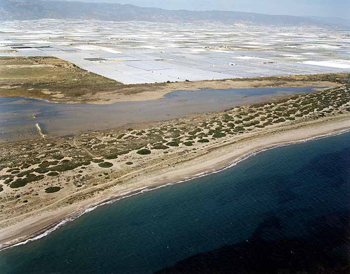 Playa de Almerimar / San Miguel Levante y Playa de Cerillos (El Ejido) 