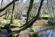 Sendero, río y pasarelas