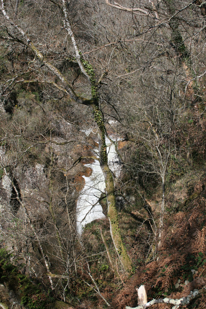 Sendero y río