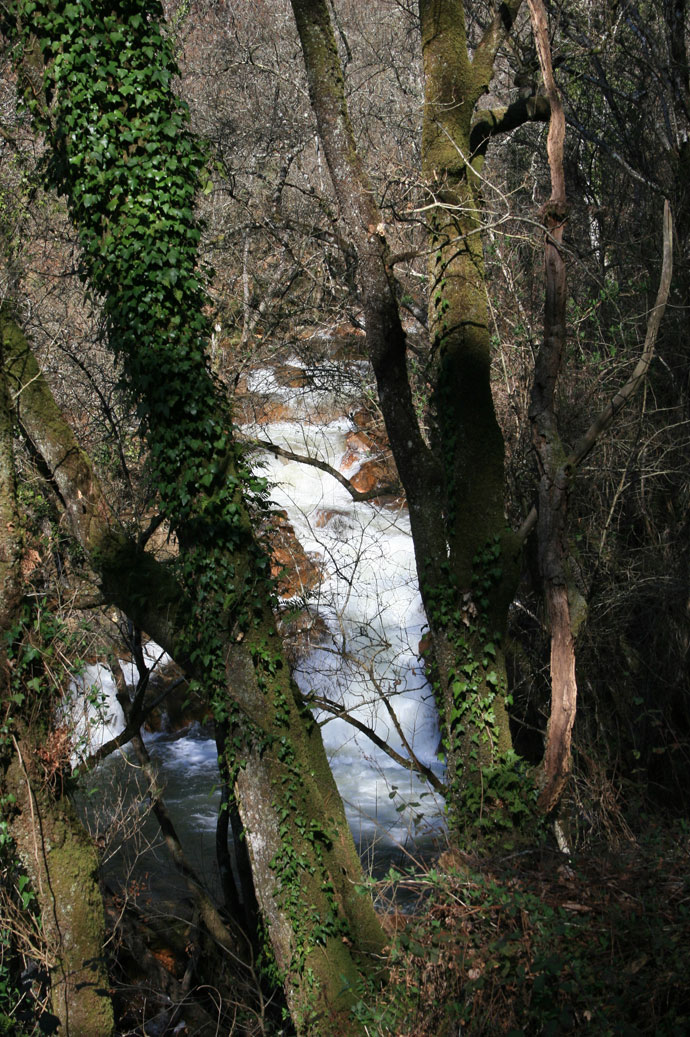 Sendero y río