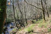 Sendero