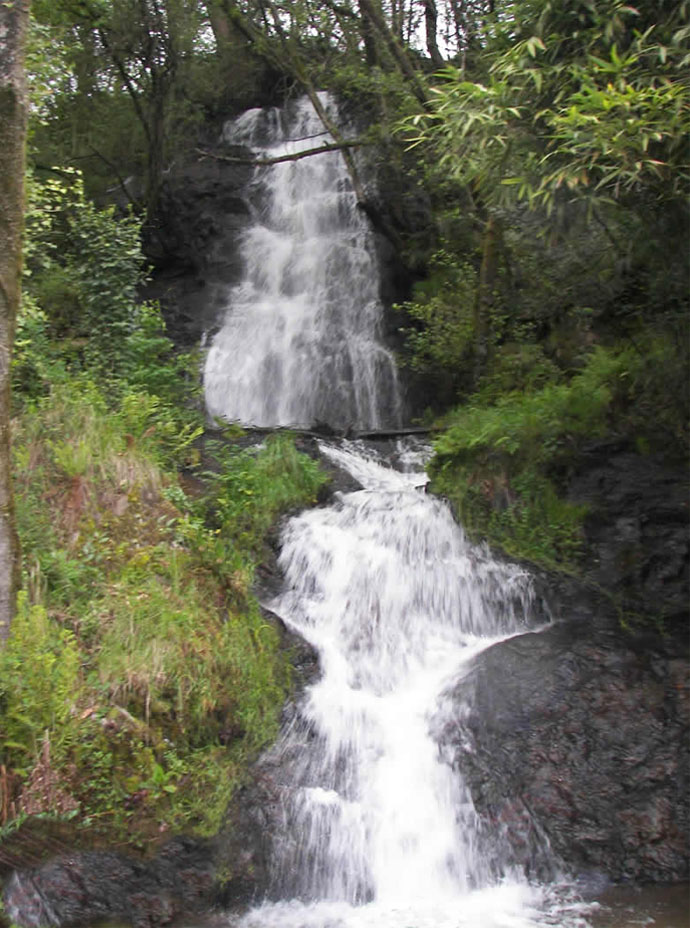 Fervenza de Codeso