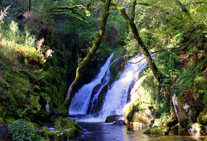 Fervenza do Chazín