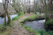 Canales