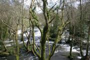 Cascadas en Verdes