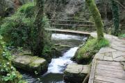 Cascadas y rápidos