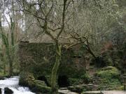 Cascadas y rápidos