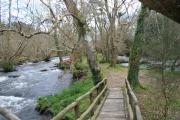 Paso a una de las islas