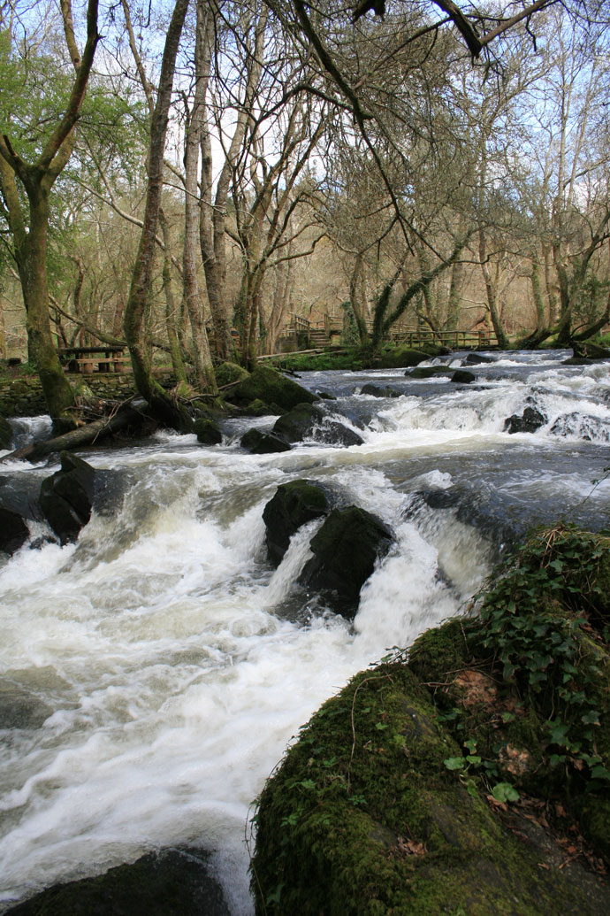 Refugio de Verdes