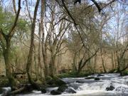 Refugio de Verdes