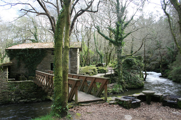 Refugio