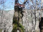 Esculturas de la naturaleza