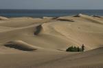 Playa del Inglés. Maspalomas