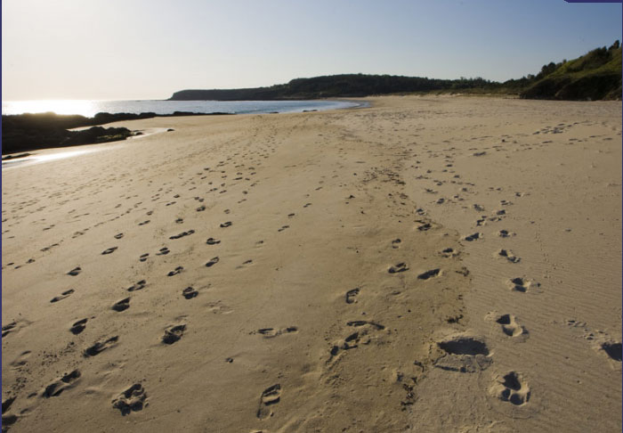 Praia Major (Sanxenxo)