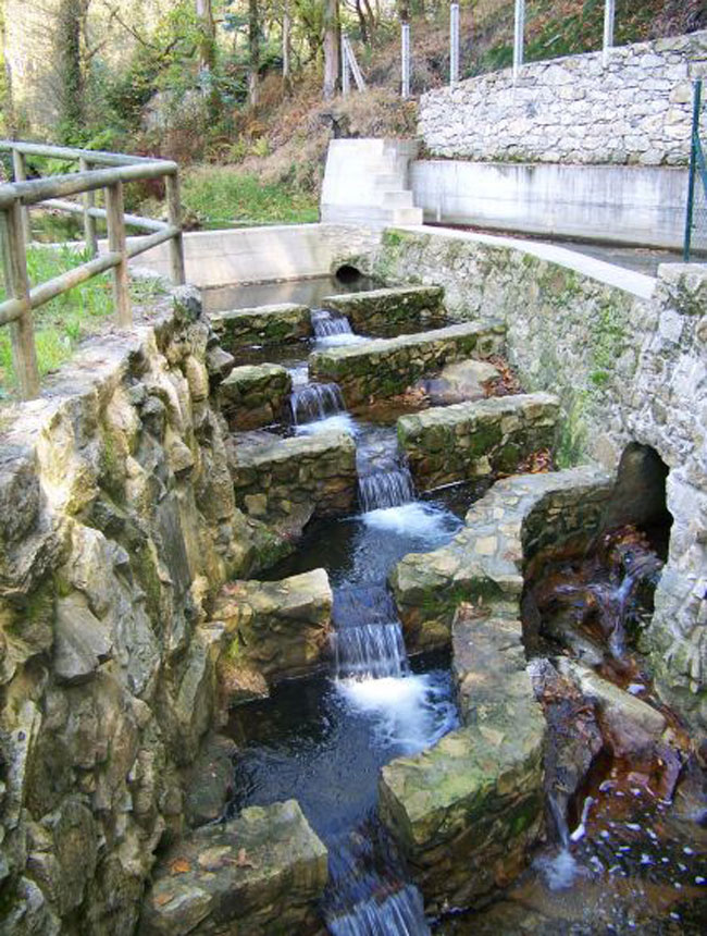 Minicentral y escala salmonera Minicentral y escala salmonera