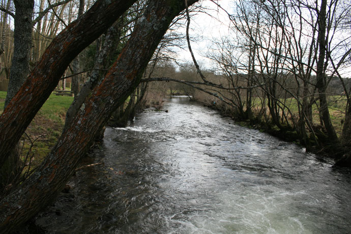 Río Furelos 