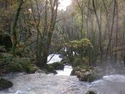 Cauce alto