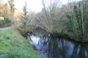 Zona de pesca de reo
