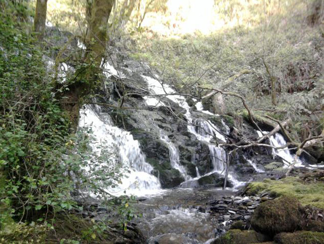 Río Mendo