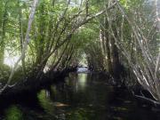 Río Mendo