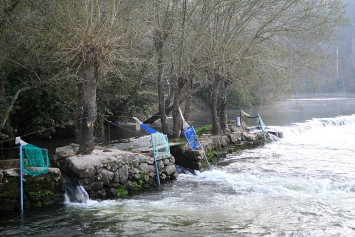 Fuerza del agua en la presa