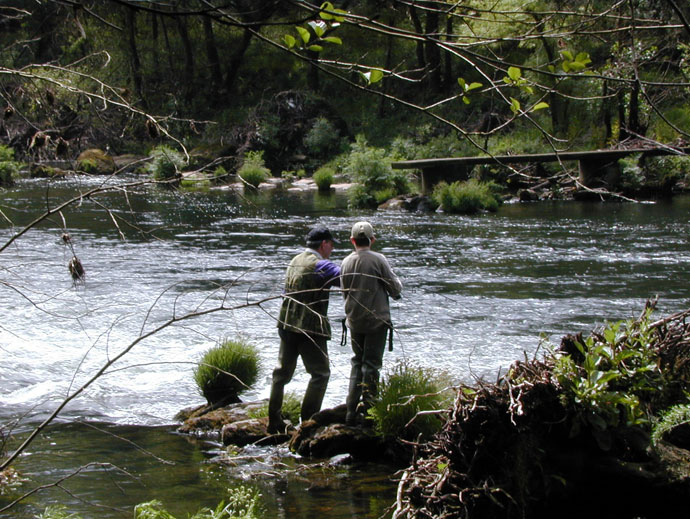 Postura en el Ulla. Tentando al Rey del Río