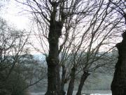 Un gran río salmonero