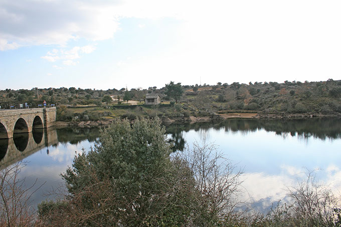 Río Tera. Embalse Nuestra Señora de Algavanzal