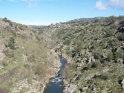 Formando el valle de las cerezas