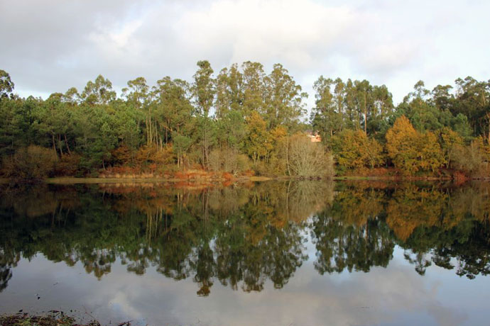 Embalse de Zamáns