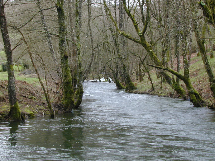 Río Asneiro 