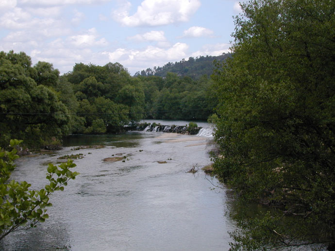 Río Avia