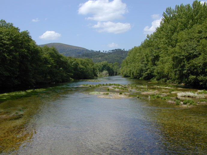 Río Avia