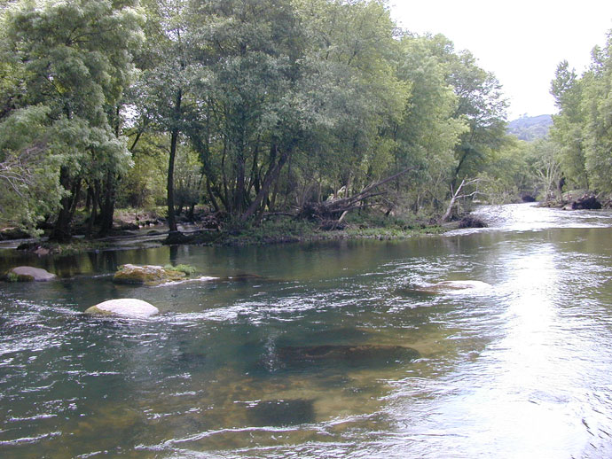 Río Avia