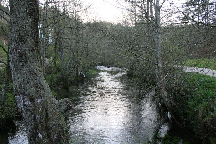 Río Barcala