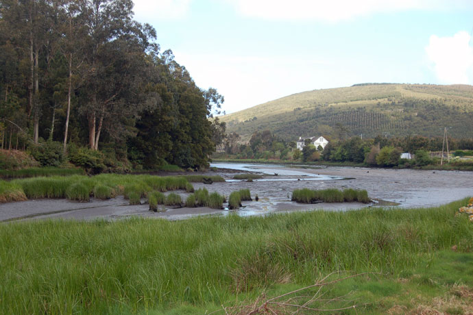 Río Castro