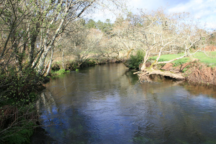 Río Grande