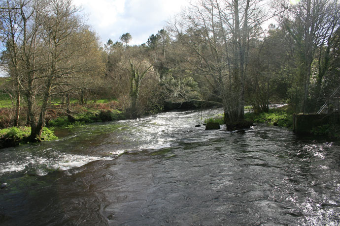 Río Grande