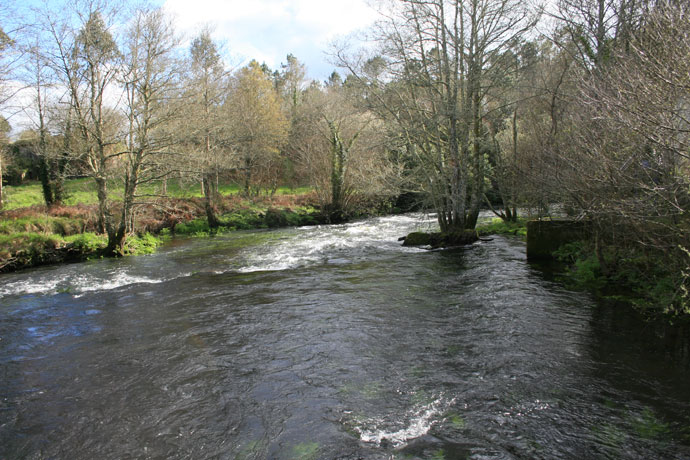 Río Grande