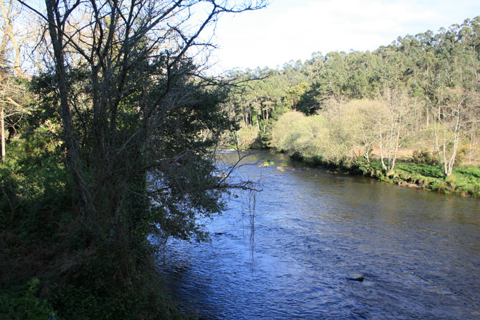 Río Grande