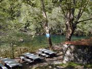 Carballeira de San Xusto